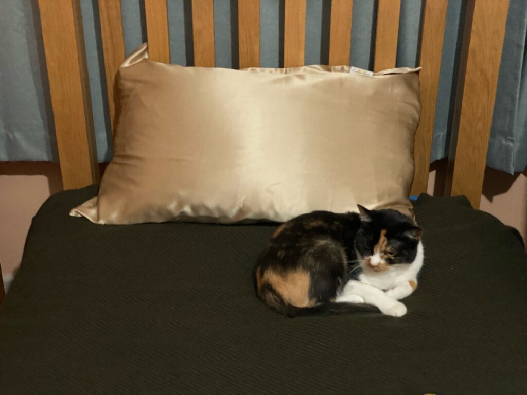 Review Calidad Home Silk Pillowcase Boots, Shoes & Fashion